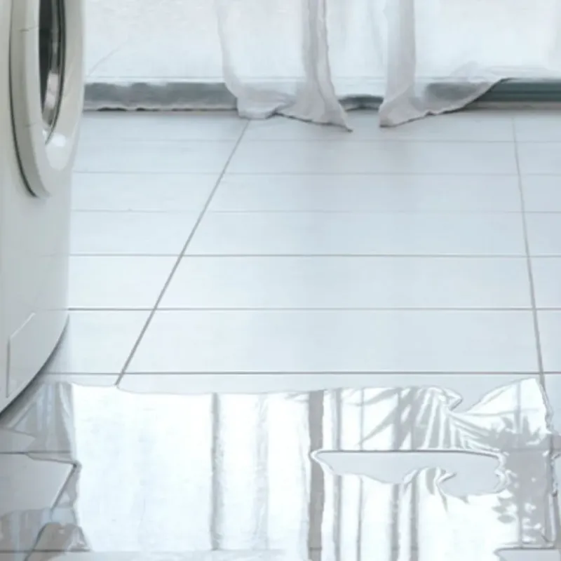 Appliance Leak Cleanup in Berkeley County, SC